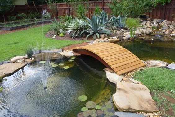 A Home Pond