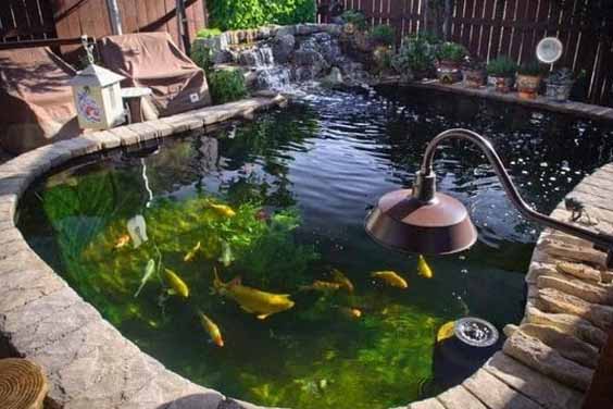 A Waterfall Pond