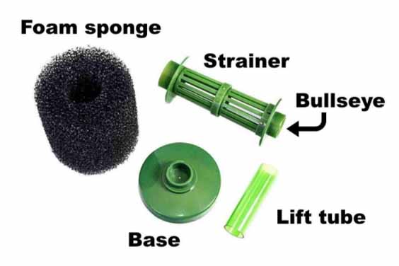 How to set up a Sponge Filter