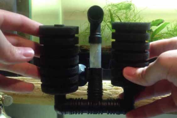 Replacing Your Filter Sponge