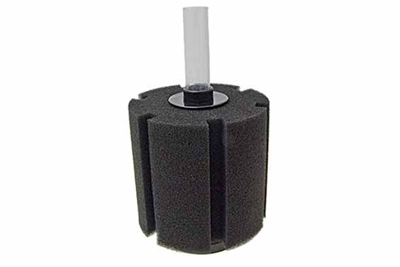 filter sponge