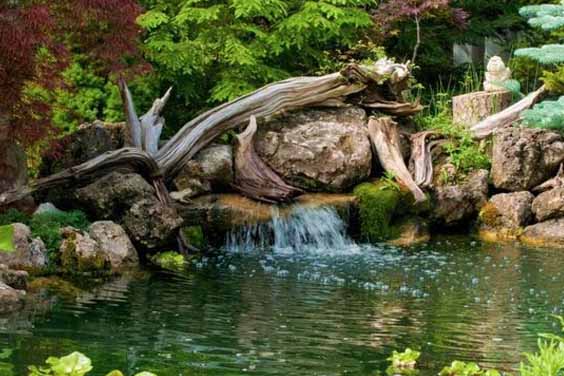 A Wood Themed Pond