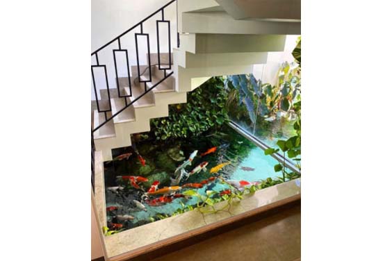 A koi pond at the base of a staircase