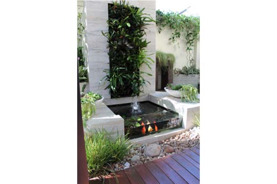 A koi pond installed at the base of a living wall