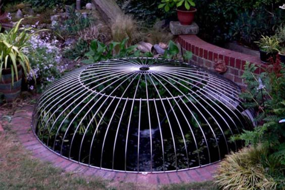 A fish pond with a safety cover