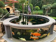 Above-ground Koi pond