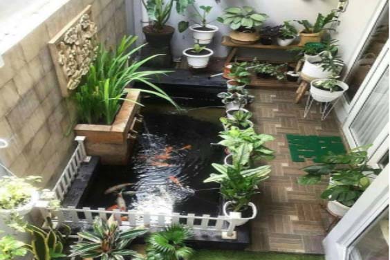 A koi pond at the back porch