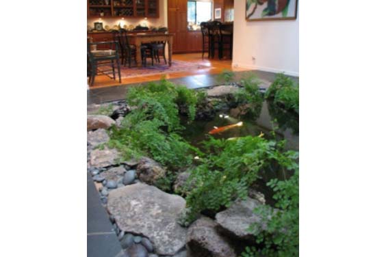 Indoor garden with a fish pond