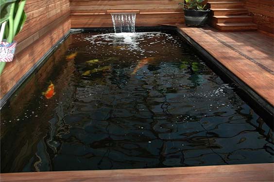 20 Amazing Indoor Koi Pond Ideas