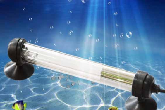 Aquarium UV sterilizer submerged in water