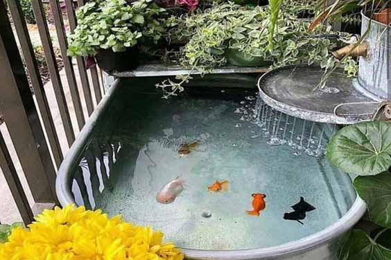 Garden pool design