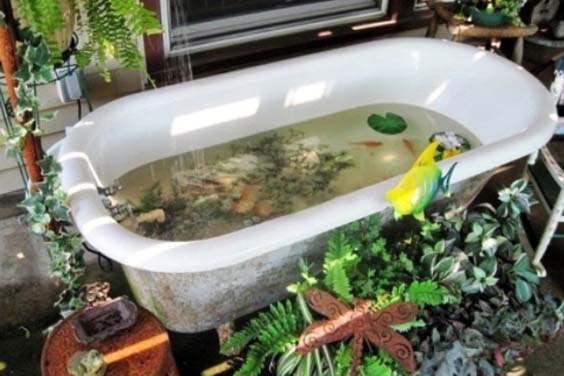 Bathtub pond