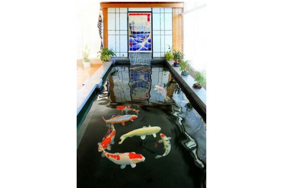 Centrepiece koi pond