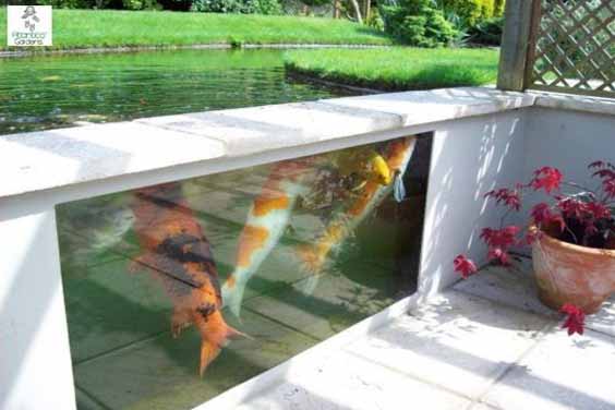 Glass Koi Pond