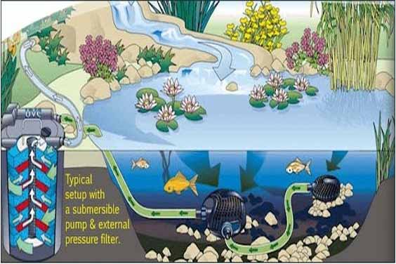 Koi Pond Filtration Set-Up