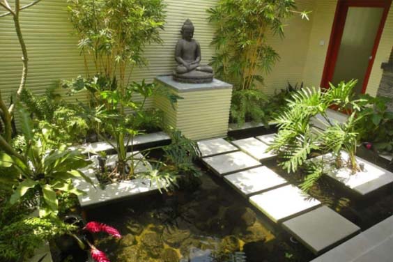 Mediation area koi pond