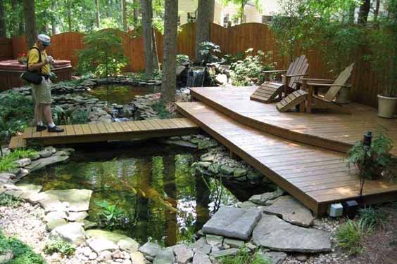 30+ Beautiful Koi Pond Ideas for Your Garden | Mountain Tree