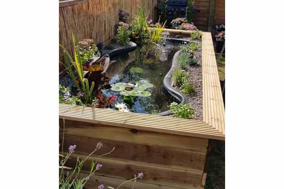 Koi pond design in a backyard