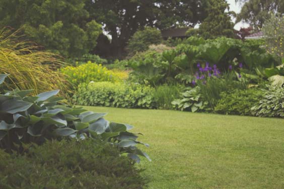 Serene backyard areas make for good pond sites