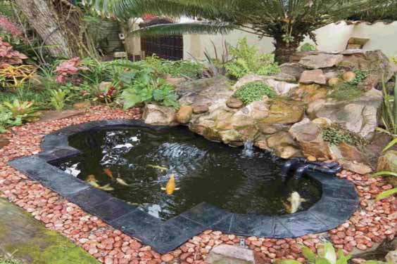 30+ Beautiful Koi Pond Ideas for Your Garden