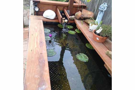 Urban pond design