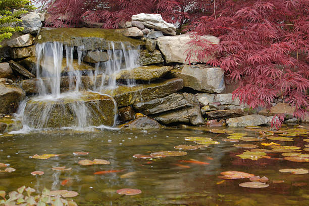 Koi Pond Waterfall