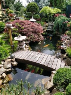 bridge over koi pond