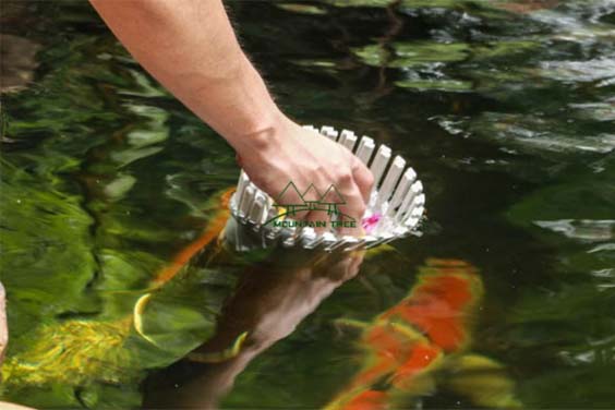 A Skimmer