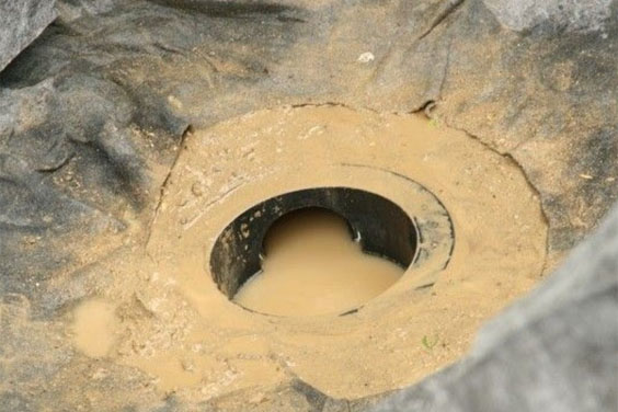 Bottom Drain