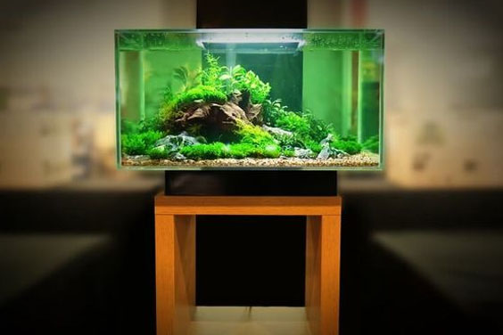 Fish Tank Equipment