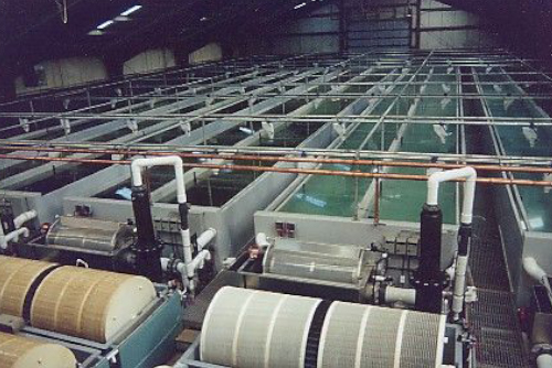 Recirculating Aquaculture System